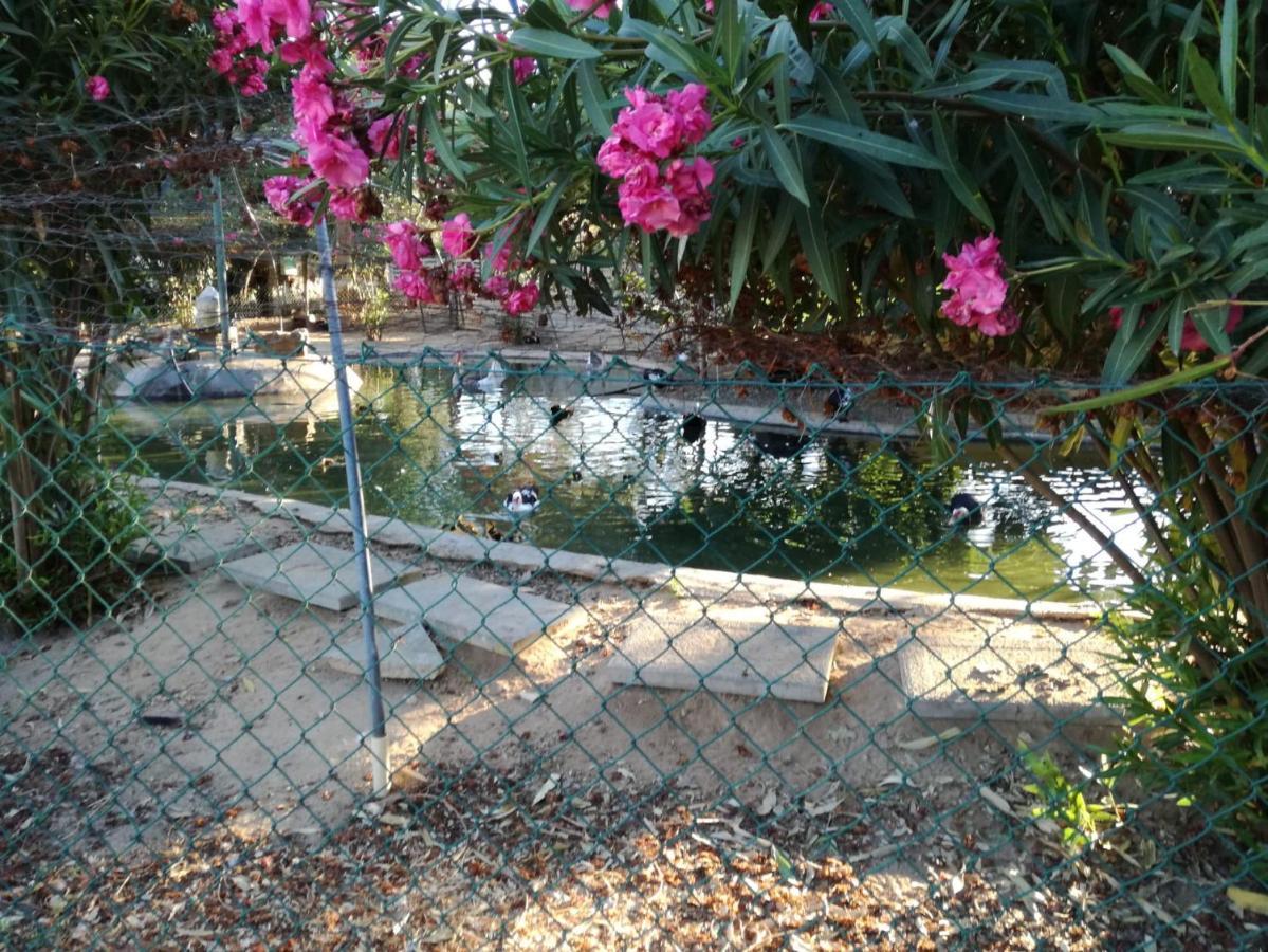 Quinta Vita - Vila Pera Almancil Exterior foto